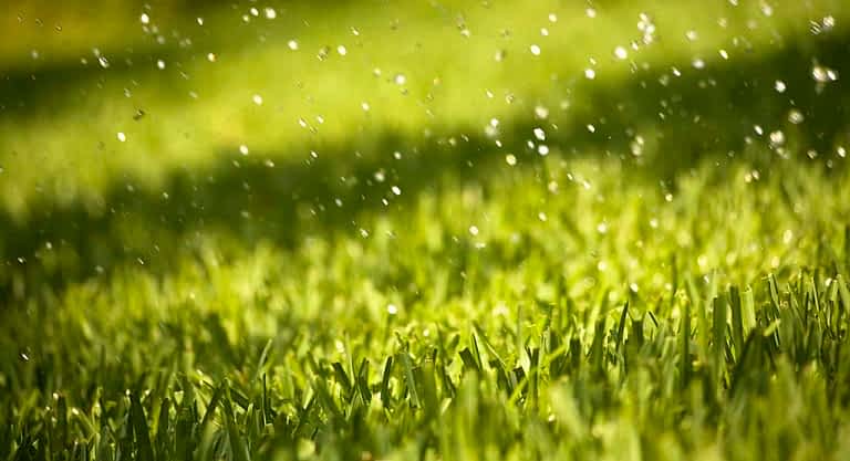Grama sintética empoça água de chuva erbus